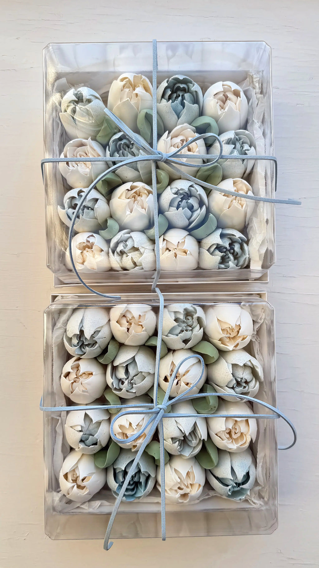 Marshmallow Tulip Box Medium (Square)