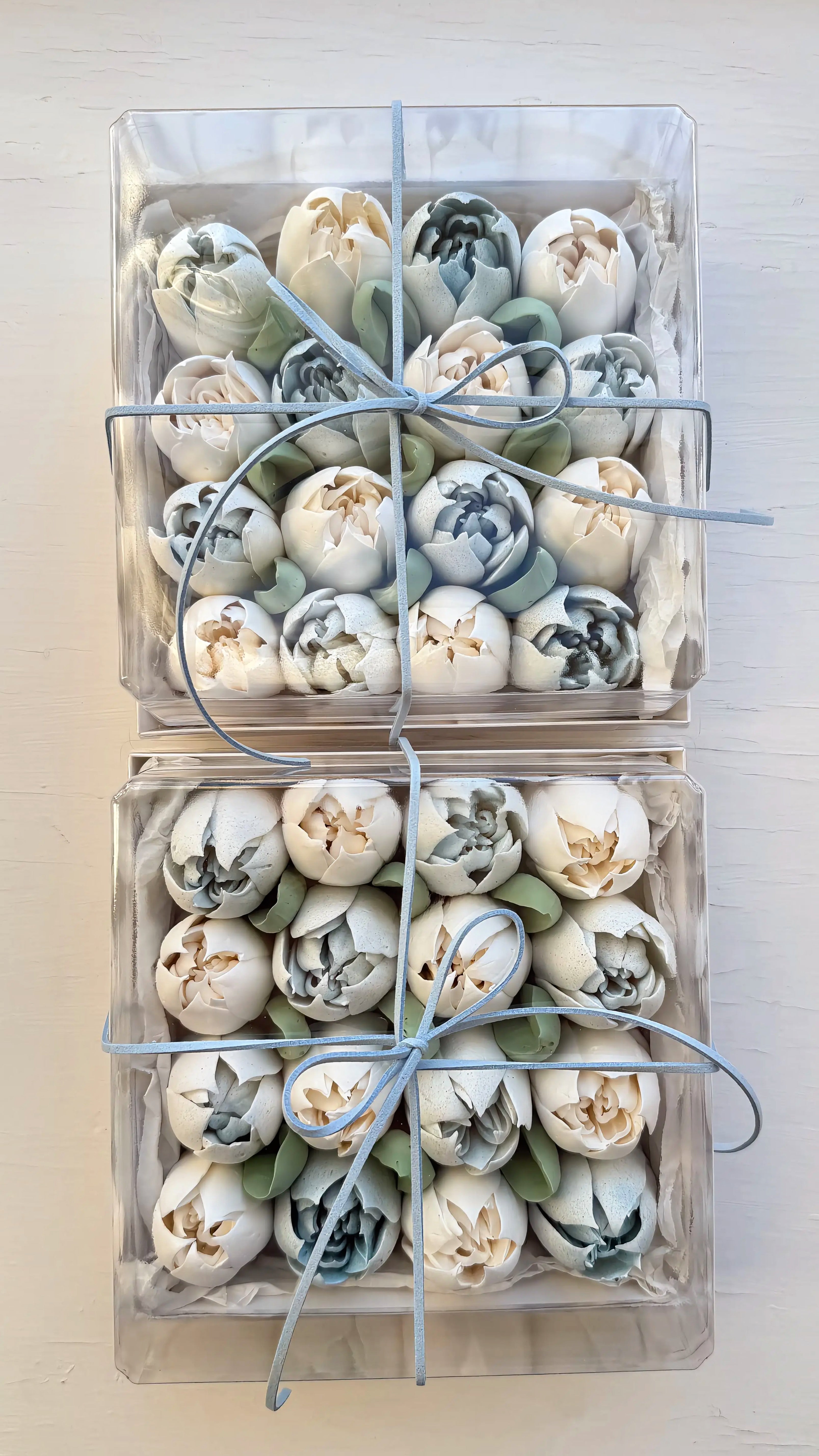 Marshmallow Tulip Box Medium (Square)
