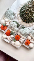 Christmas Marshmallow Box Small