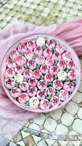 Marshmallow Tulip Box Large