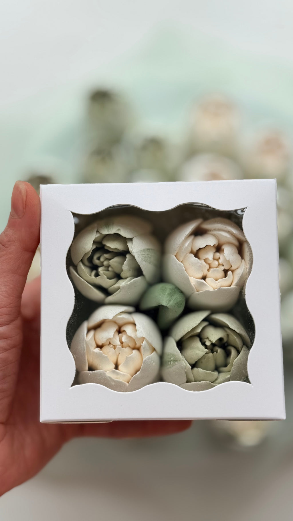 Marshmallow Tulip Box Mini