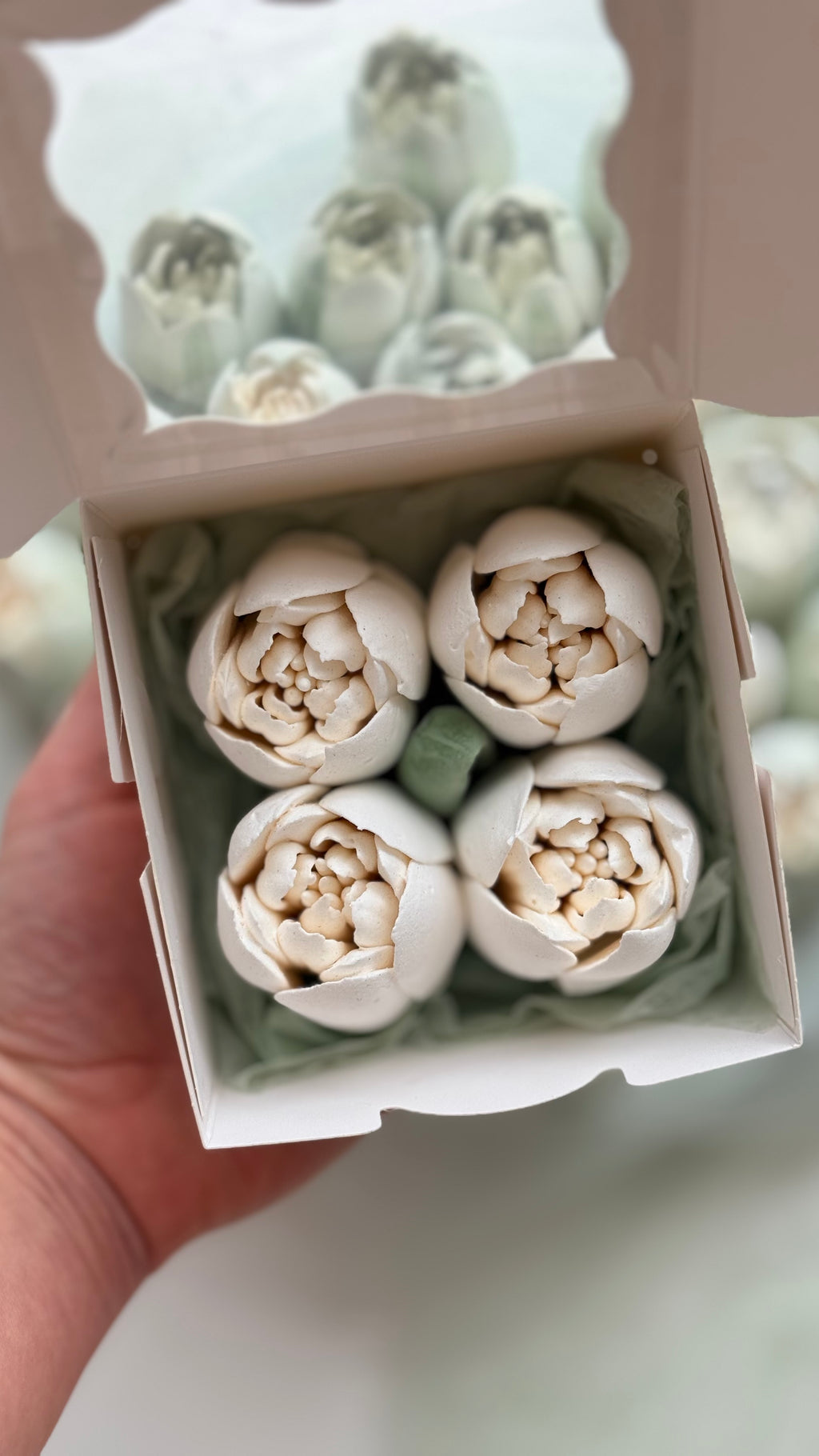 Marshmallow Tulip Box Mini