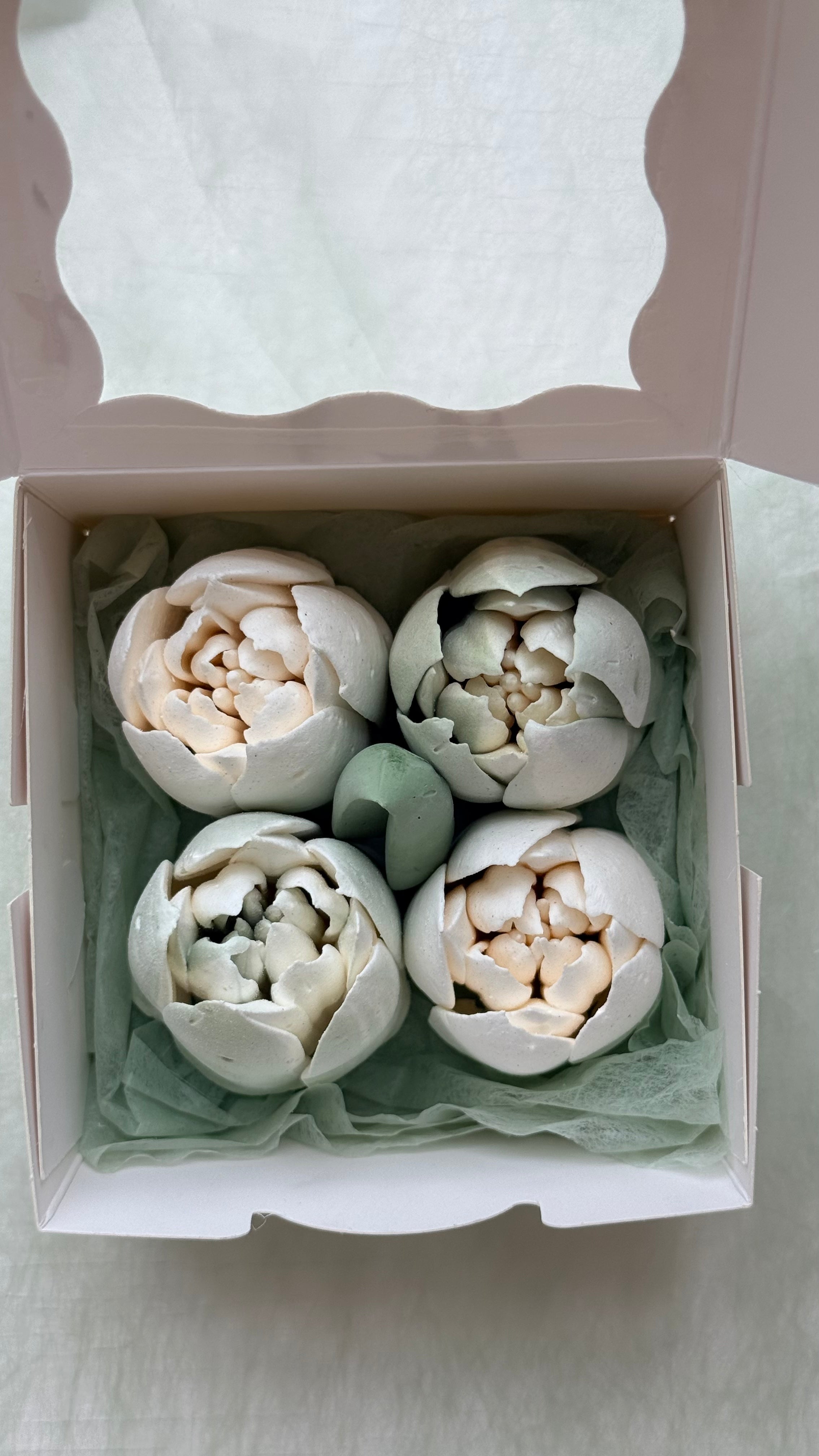 Marshmallow Tulip Box Mini