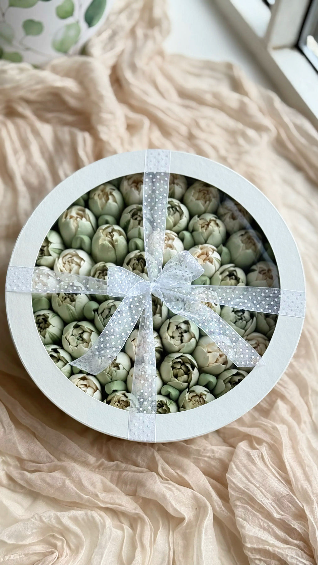 Marshmallow Tulip Box Large