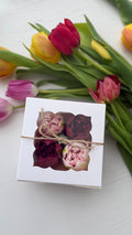 Marshmallow Tulip Box Mini