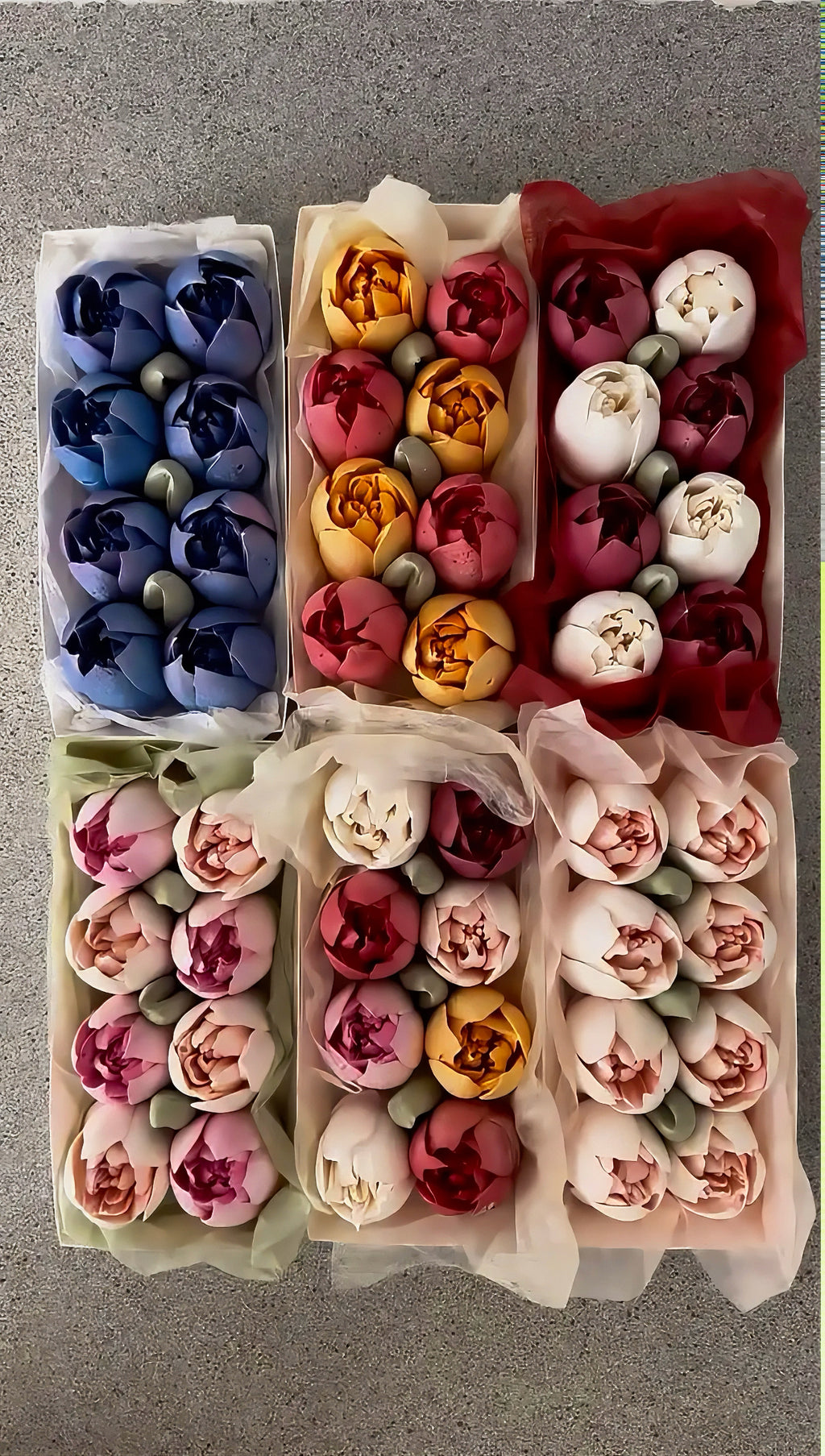 Marshmallow Tulip Box Small (Square)