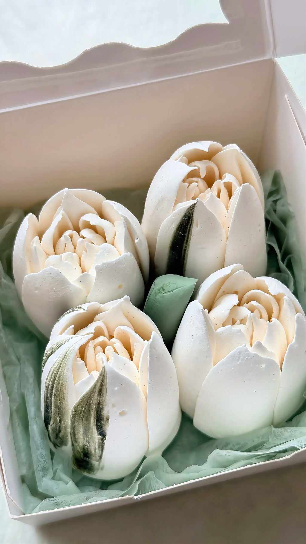 Marshmallow Tulip Box Mini