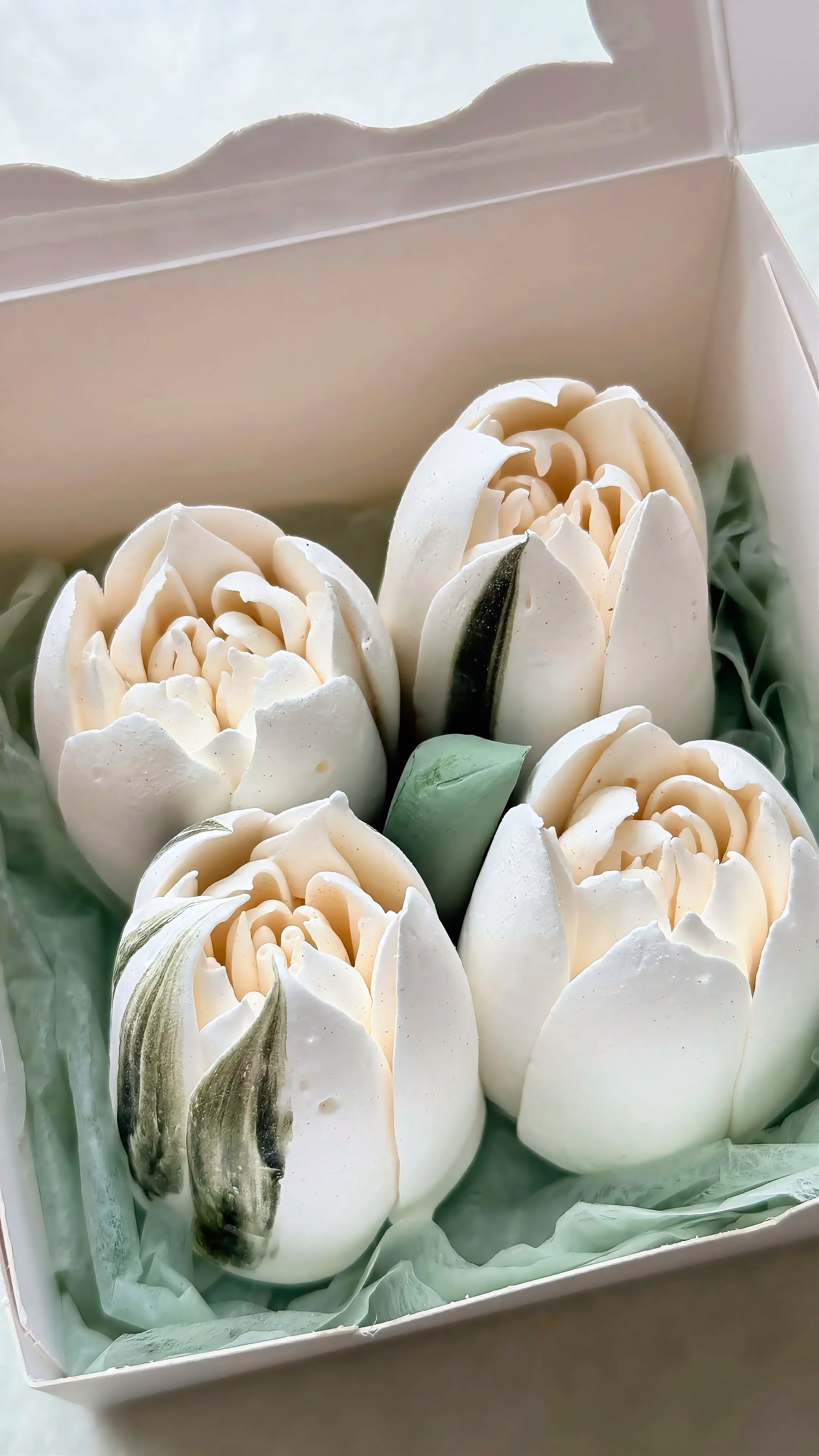 Marshmallow Tulip Box Mini