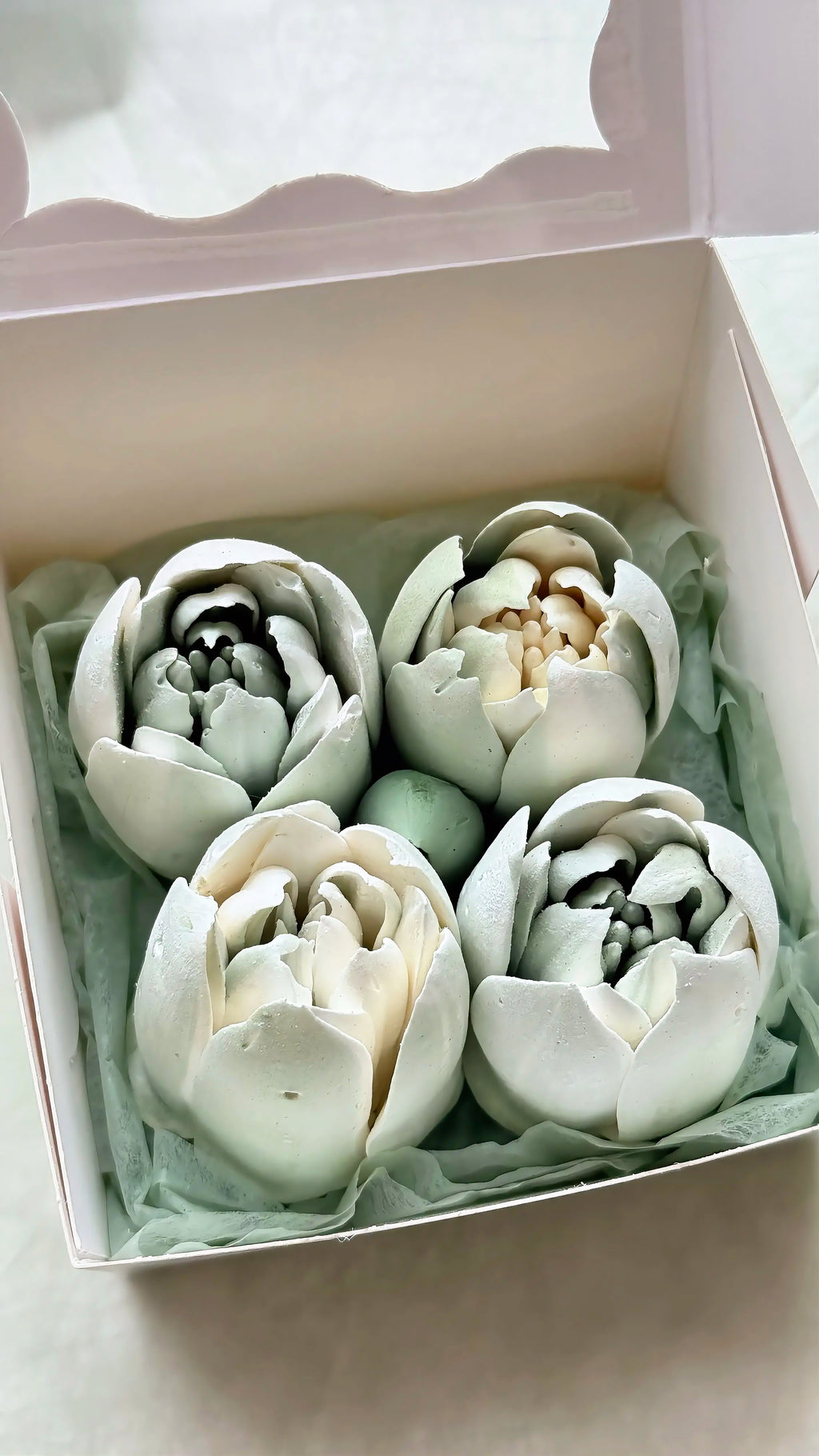 Marshmallow Tulip Box Mini